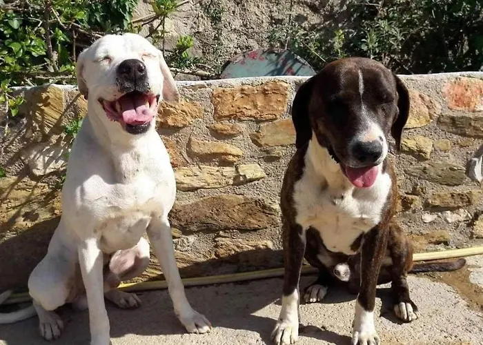 Secret Garden, A Little Paradise Of Tranquility. Casa vacanze