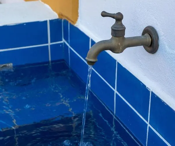 Secret Garden, A Little Paradise Of Tranquility. * Lepidha