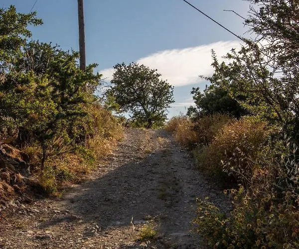 Secret Garden, A Little Paradise Of Tranquility. * Lepidha