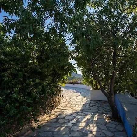 Secret Garden, A Little Paradise Of Tranquility. Lepidha