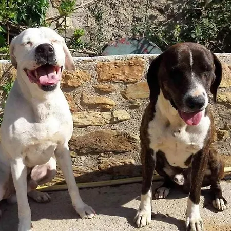 Secret Garden, A Little Paradise Of Tranquility. Nyaraló