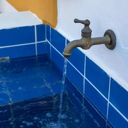 Secret Garden, A Little Paradise Of Tranquility. * Lepidha