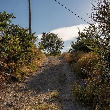 Secret Garden, A Little Paradise Of Tranquility. * Lepidha