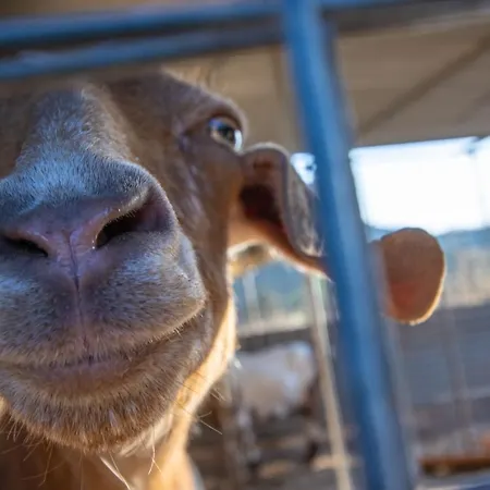 Nyaraló Secret Garden, A Little Paradise Of Tranquility. *